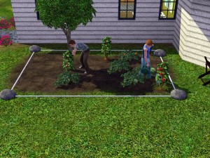 xander and caleb gardening